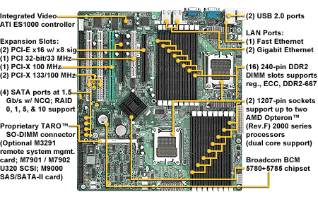 Dvouprocesorové servery, AMD nebo Intel?