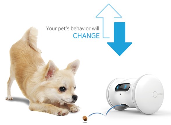 Robot VARRAM zabaví vaše mazlíčky, když jste pryč