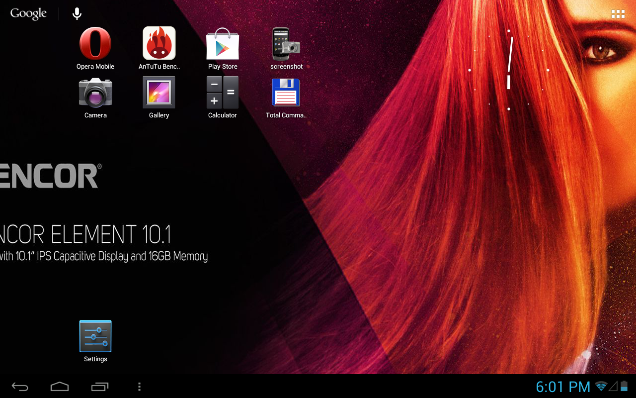 Sencor Element 10.1: IPS za hubičku