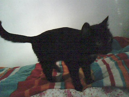 Test herních notebooků: Toshiba Qosmio F50