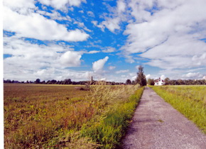 Canon PIXMA MG4250: levná šikulka