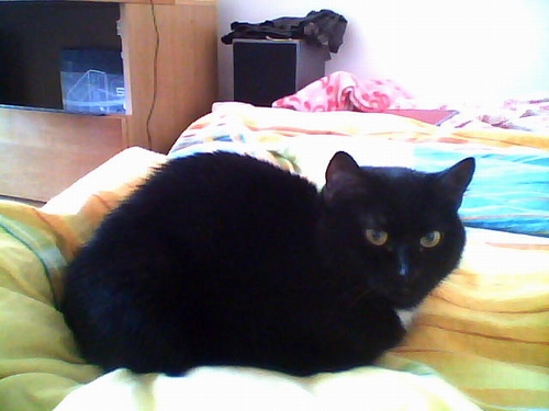 Sony VAIO VPCEA1S1E/W: malý i výkonný