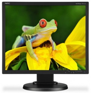 NEC chystá vydání dvou nových monitorů