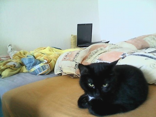 Lenovo U550: tenký IdeaPad