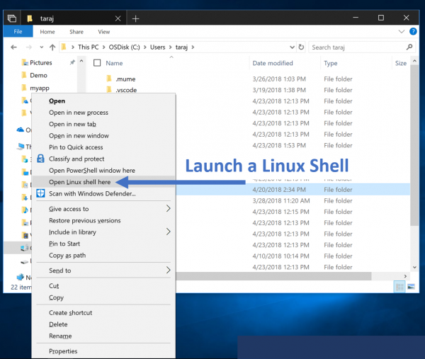 Nová verze Windows 10 nabídne ve Storu linuxové distribuce WLinux a Ubuntu 18.04