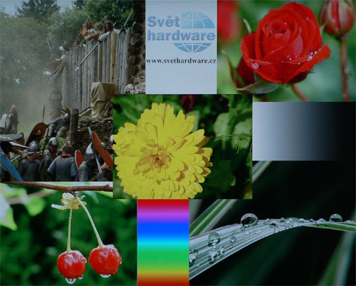 ViewSonic VP201b - 20,1" LCD pro náročné