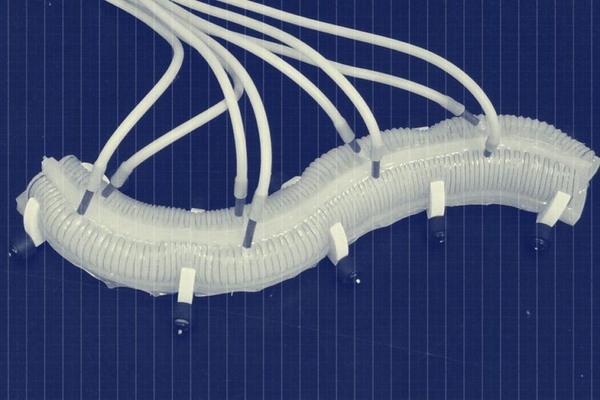 Měkká robotika na vzestupu, jsou tu další umělé svaly