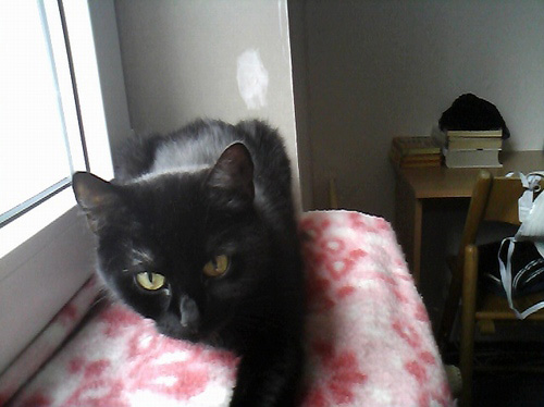 Dell Vostro 3300: výkonný drobek