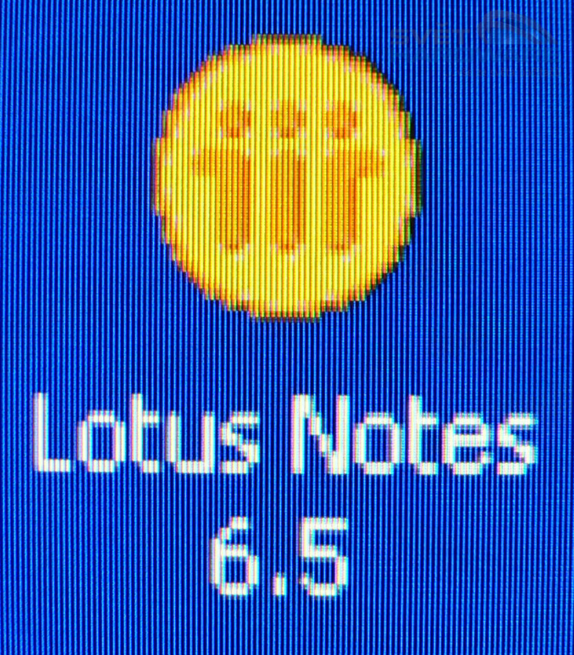 Megatest 19" LCD: HP L1955