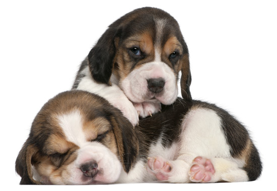 Zajímáte se o robotiku, AI nebo 3D tisk? Hledáme novinkáře