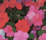 Megatest inkoustových tiskáren: Úvod, HP DJ 3745 a DJ 5652