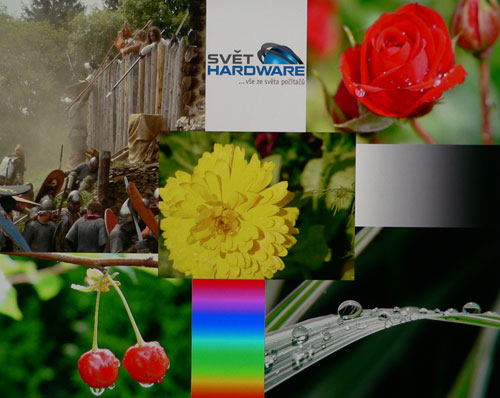 Největší z obrů - HP LP3065