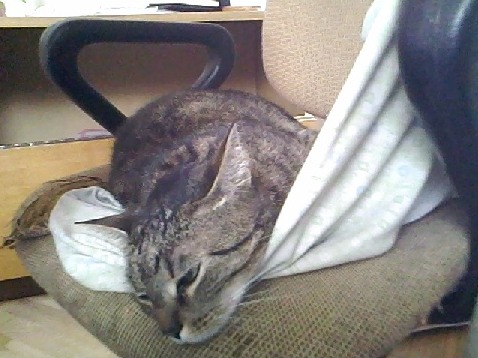 MSI CX640: slušná cena i výkon