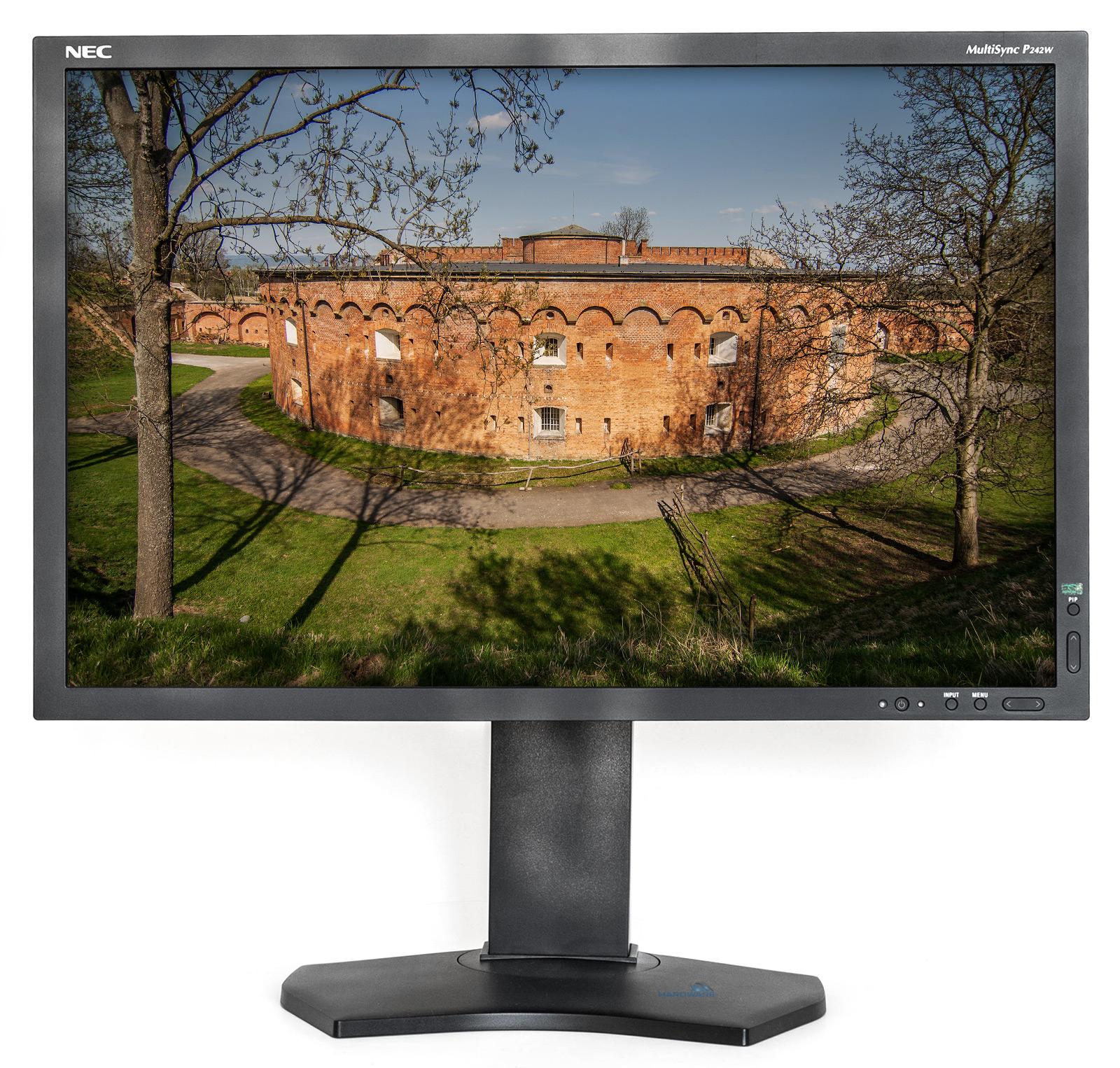 NEC P242W: sen webového grafika?