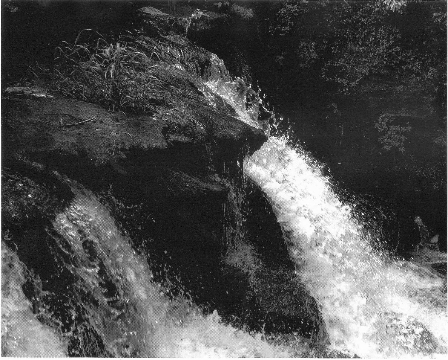 Laser black&white: Samsung ML-1915