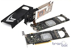 Další neoficiální fotky GeForce 295 GTX