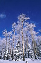 Průvodce koupí cenově výhodného PC pro únor