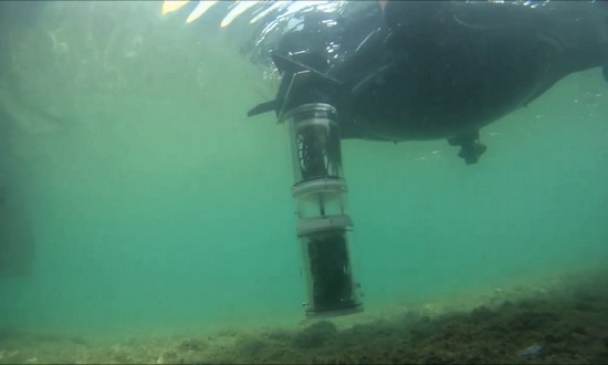 Roboti spolupracují pod mořskou hladinou