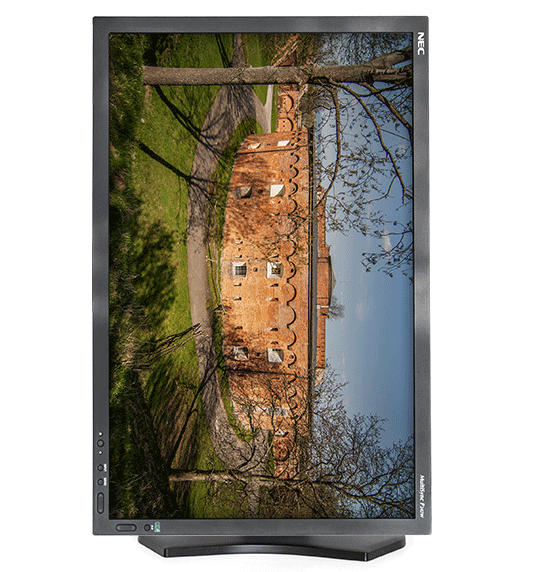 NEC P242W: sen webového grafika?