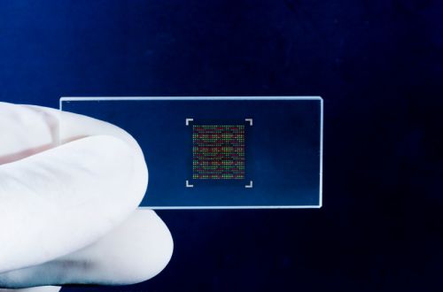 DNA počítače, aneb soumrak křemíku