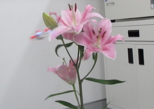 Robotická náhrada za včely? Levný dron zvládl opylovat květ