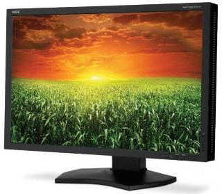NEC zahajuje prodej monitoru MultiSync P241W