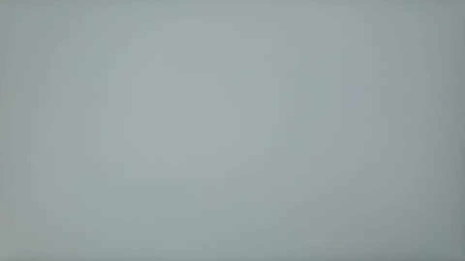 BenQ PD2730S - Uniformita zapnuta