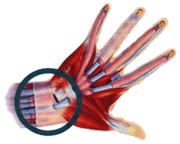 Počítače a zdravotní problémy