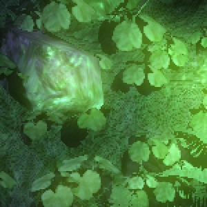 ATi Radeon X1900 vykazuje špatnou kvalitu obrazu