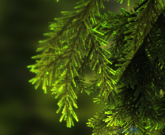 UNIGINE Valley: povedený benchmark