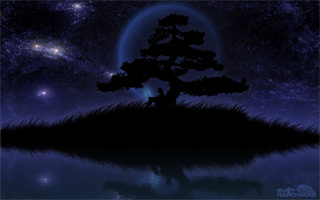 SHWallpaper - 17. kolo IT specialista: vyhodnocení