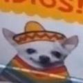 commenter-profile-image