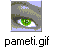 pameti.gif