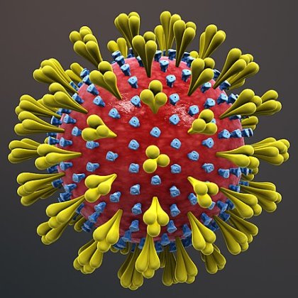 Koronavirus