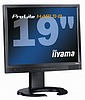 iiyama uvádí nové LCD monitory ProLite o velikostech 17" a 19"