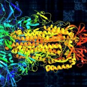 Na MIT "přeložili" proteiny koronaviru SARS-CoV-2 pomocí AI na klasickou hudbu