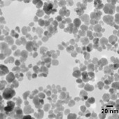 Nanočástice magnetitu ze smogu jako spouštěč Alzheimerovy choroby?