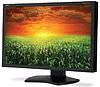 NEC zahajuje prodej monitoru MultiSync P241W