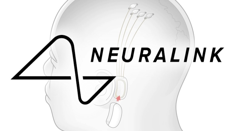 Neuralink je vyšetřován za porušení zákonů o nebezpečných látkách