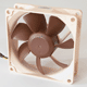 Noctua NF-R8 - osmicentimetrový solitér