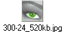 300-24_520kb.jpg