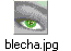 blecha.jpg