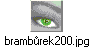 brambůrek200.jpg