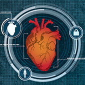 Sken srdce jako nová forma biometrie 