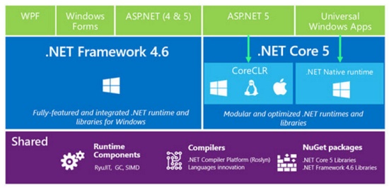 .NET Native runtime